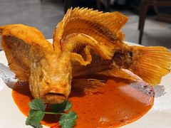 新加坡娘惹彩虹鲷-珍宝海鲜JUMBO Seafood(ifc店)