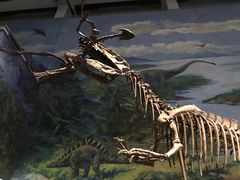 -自贡恐龙博物馆