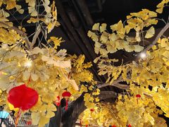 -北平宴·烤鸭·京味菜(中关村店)