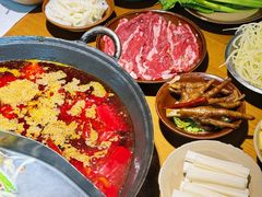 -阳阳老火锅(小南门店)