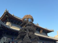 -西安大兴善寺