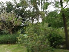 -广州市第二中学高中部(科学城校区)