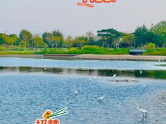 -深圳人才公园