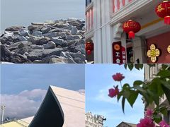 -海南热带野生动植物园