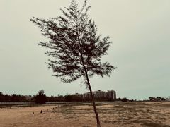 -白沙门生态公园