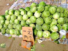 -牛头崖大集
