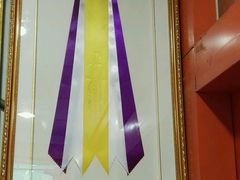 -家有小宠宠物美容(双楠街店)