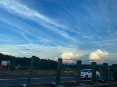 -熊猫不走蛋糕（同城送）(长沙店)