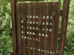 -句容茅山景区