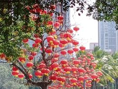 -万绿园