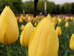 -长春公园(普阳街道)