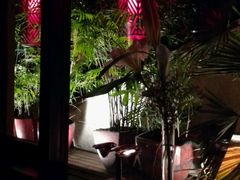 android_upload_pic-花马天堂云南餐厅 Lost Heaven(高邮路店)