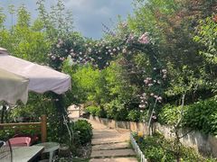 -玫瑰庄园·自助烧烤·烤全羊·团建拓展(龙泉山店)