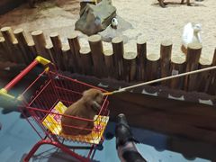 -顺德南宏海立方海洋公园