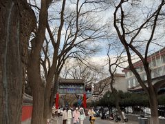 -北京国子监胡同