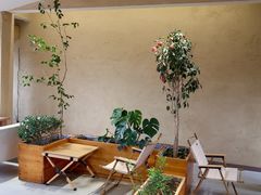 -上席擂茶·新中式青年茶馆(古城店)
