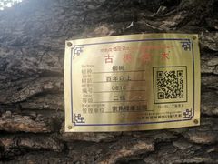 -宗角禄康公园
