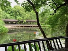 -东湖落雁景区