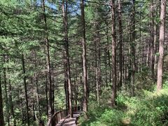 -苏木山森林公园