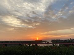 -上海崇明金茂凯悦酒店