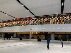 -TheRink大零溜冰场(IFS国金中心店)