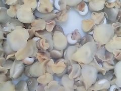 -宾朋海鲜特色美食餐厅·纯手工鲅鱼水饺(兴海路店)