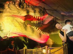 -恐龙探索乐园(磁器口店)
