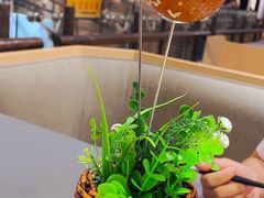糖油果果-天府掌柜(九眼桥店)