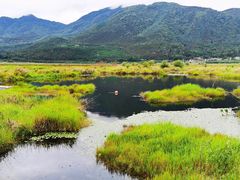 -腾冲北海湿地
