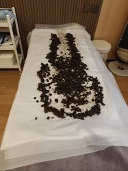 -北京嘉禾国际母婴产后康复中心(南苑中心店)