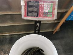 -铁锅炖灶台鱼老三炖鱼馆