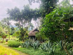 -四季酒店下午茶