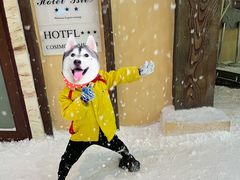 -世界之窗阿尔卑斯冰雪世界