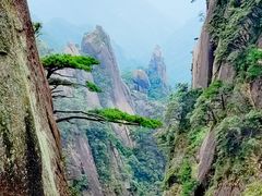-三清山风景名胜区