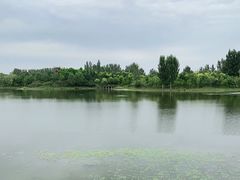 -东郊湿地公园