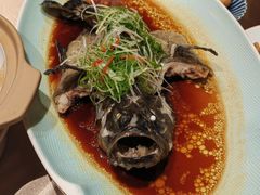 清蒸老虎斑鱼-粤汕小厨(北站店)