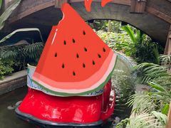 -南宫五洲植物乐园