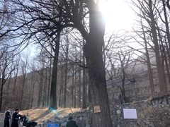 -阳台山自然风景区