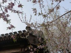 -春风习习