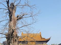 -圆通寺