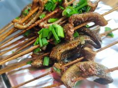 鳝鱼-晓靖轩烧烤(沙河风情店)