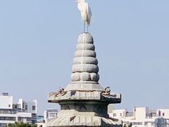 -木塔寺遗址生态公园