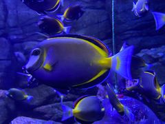 -成都浩海立方海洋公园