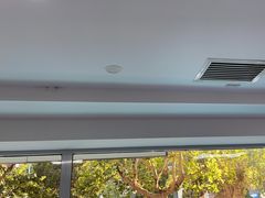 -天使宠物医院·犬猫分诊(彩虹店)