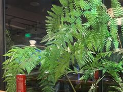 -西塔老太太泥炉烤肉(北京望京店)