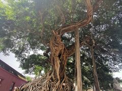 -闽粤南澳总镇府