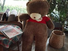 -咖法森林·咖啡  酒吧(天河店)