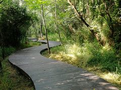 -盘龙城国家考古遗址公园