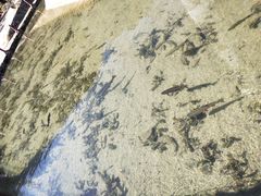 -丽江玉水寨