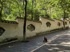 -黔灵山公园